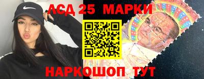 молекула духа Новозыбков