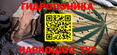 молекула духа Новозыбков